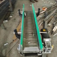 Conveyors Food conveyors Conveying of any material