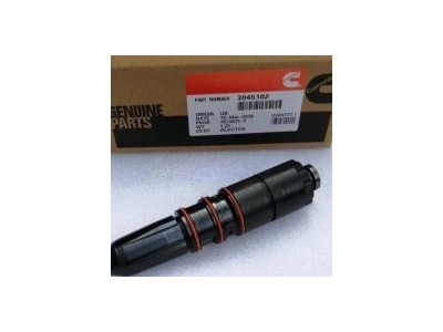 Cummins Fuel System Cummins / 2
