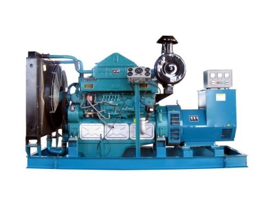 Tongchai Diesel Generator / 5