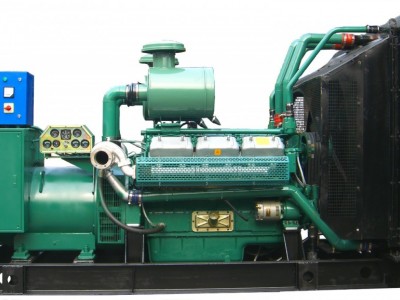 Wuxi Power Diesel Generator / 3
