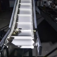 Belt conveyor