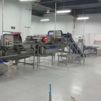 Vegetable Processing Machine