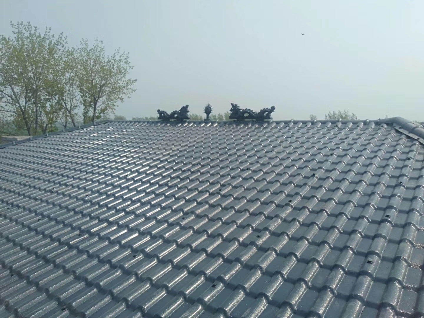 glazed tile forming machine / 5