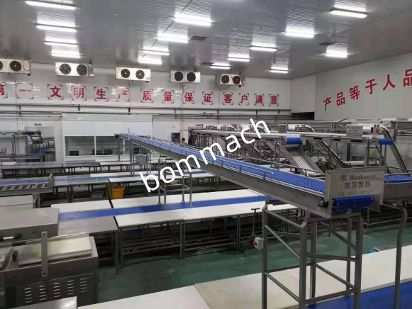 pork processing conveyor line