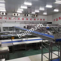 pork processing conveyor line