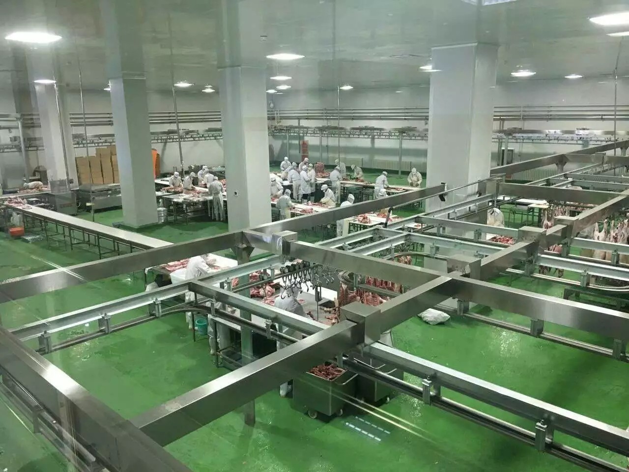 Cattle slaughter conveyor line