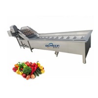 vegetable washer