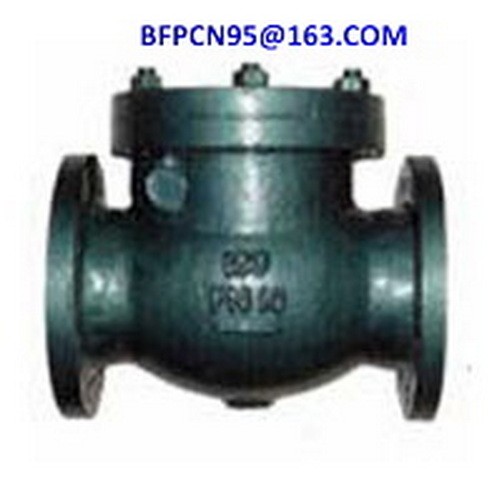 check valves / 2