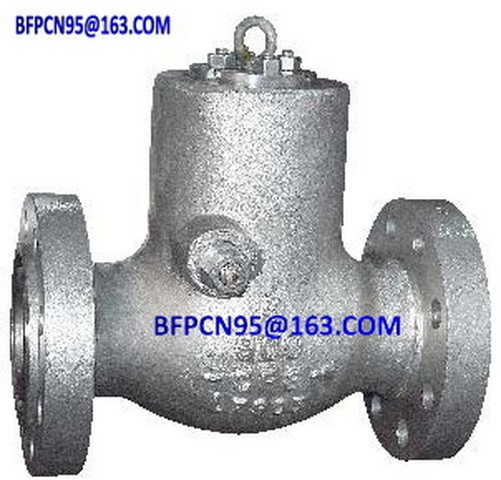 check valves / 6