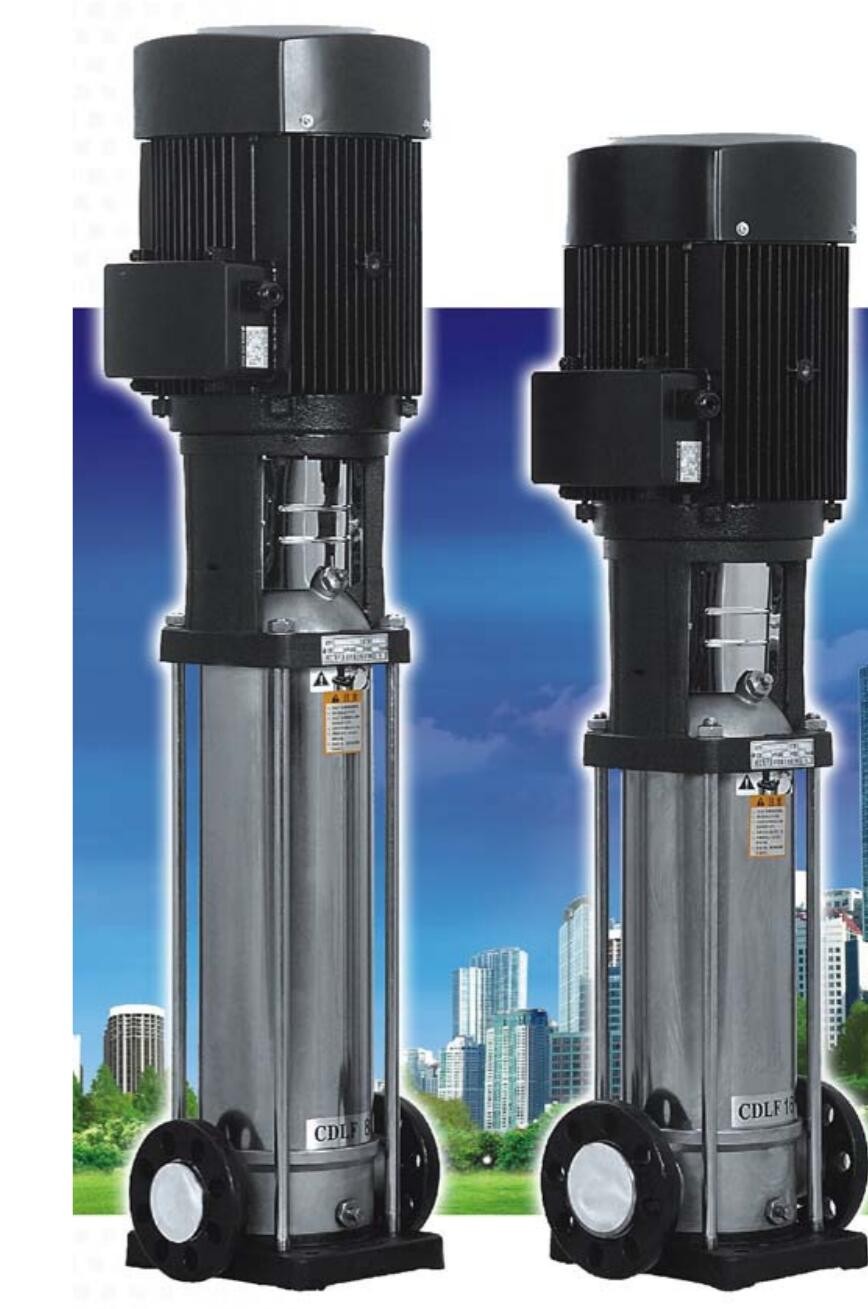 ZS l single stage  water pump / 3