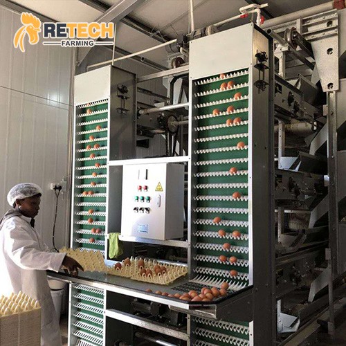 H Type Layer Chicken Cage / 2