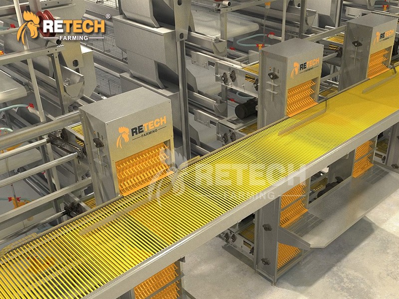 H Type Layer Chicken Cage / 7