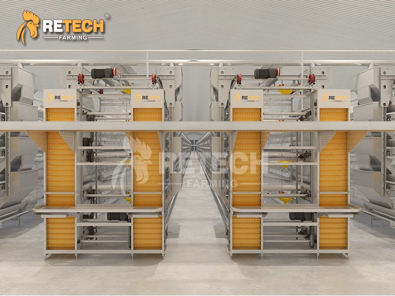 H Type Layer Chicken Cage / 6
