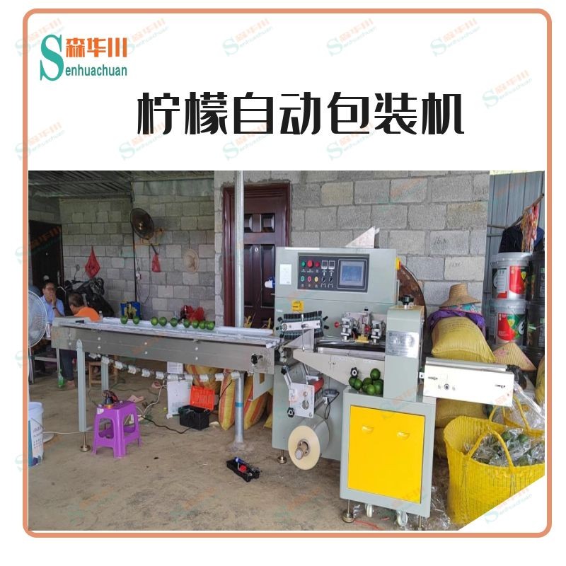 Fresh Fruit packing machine