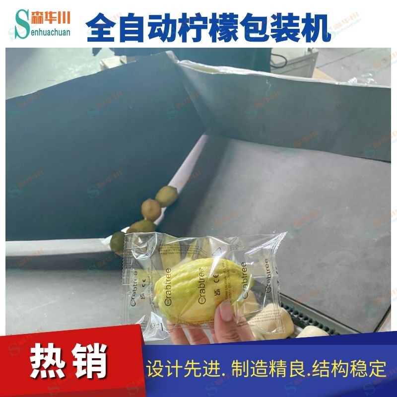 Lemon packing machine / 3
