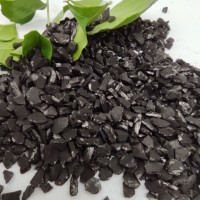 activated carbon