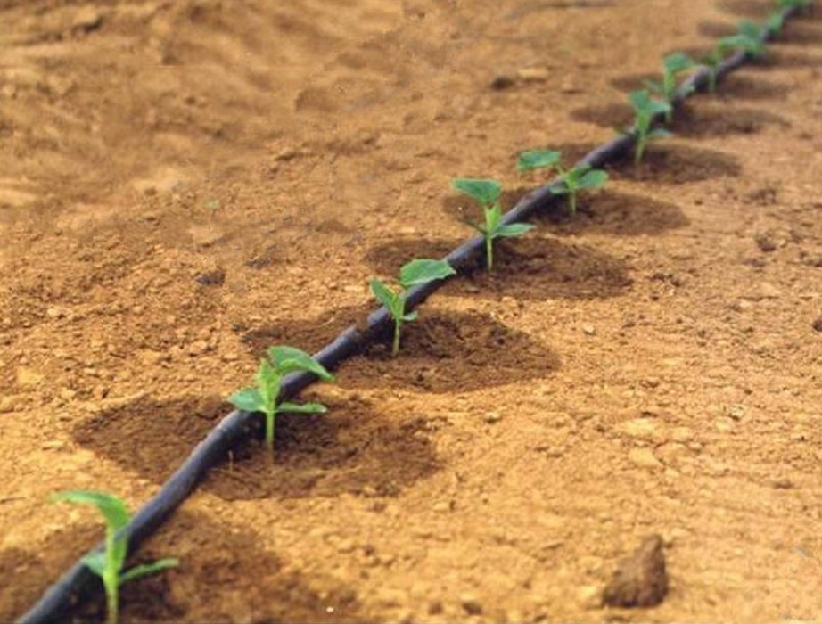 drip irrigation tape / 2