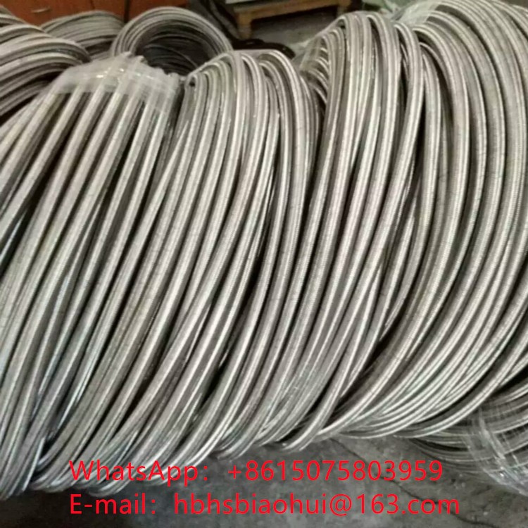 PTFE   Wire Braided  Hose / 7