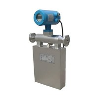 Digital Mass Flow Meter Z100M