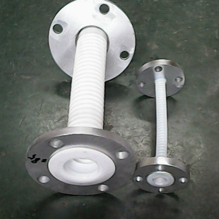 PTFE LINED Metal Hose / 5