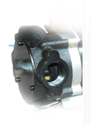 fuel DC self-priming pump / 4