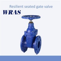 Gate valve