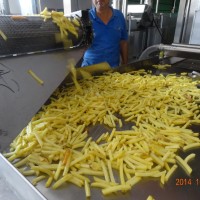 french fries making machinery