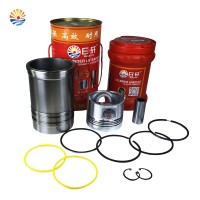 CYLINDER LINER PISTION KIT