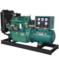 24KW 30KVA  generator ricardo