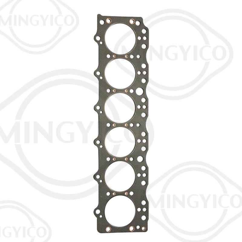 gasket 65.03901-0055 / 2