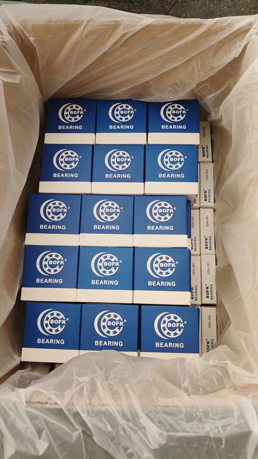 China Bearing 6000 6200 6300 / 3