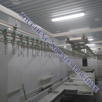 Rabbit slaughter machine line