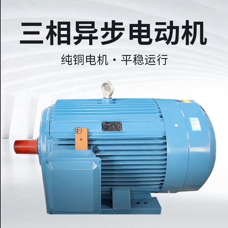 YE3 national standard high horsepower three-phase asynchronous motor / 4