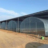 Single span greenhouse