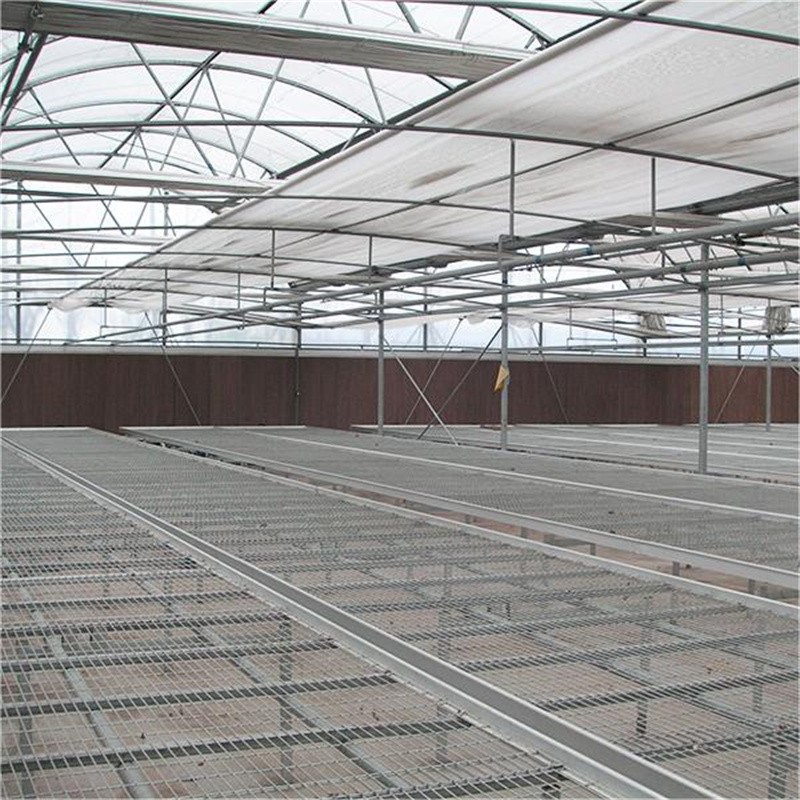Multi span  greenhouse / 2