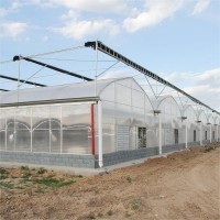 Multi span film steel structure greenhouse
