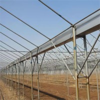 steel galvanized multi span greenhouse