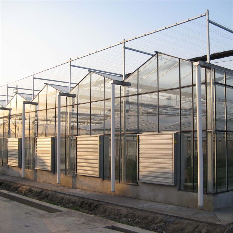Hot DIP Galvanized Steel Multi Span Greenhouse / 5