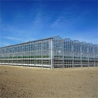 Hot DIP Galvanized Steel Multi Span Greenhouse