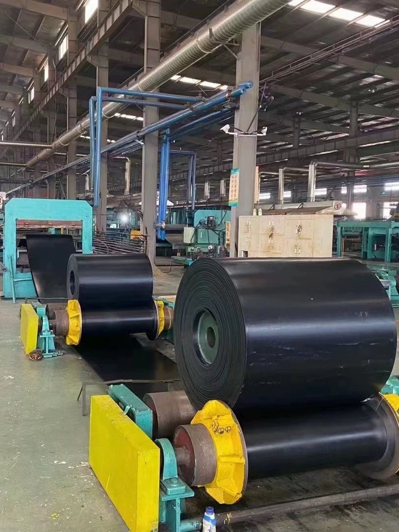 Conveyor belt / 2