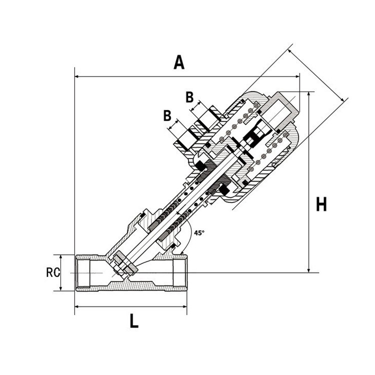 Pneumatic valve / 7