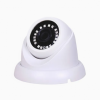 Night Vision 5MP Plastic Conch Ahd Camera CCTV IP Security Surveillance
