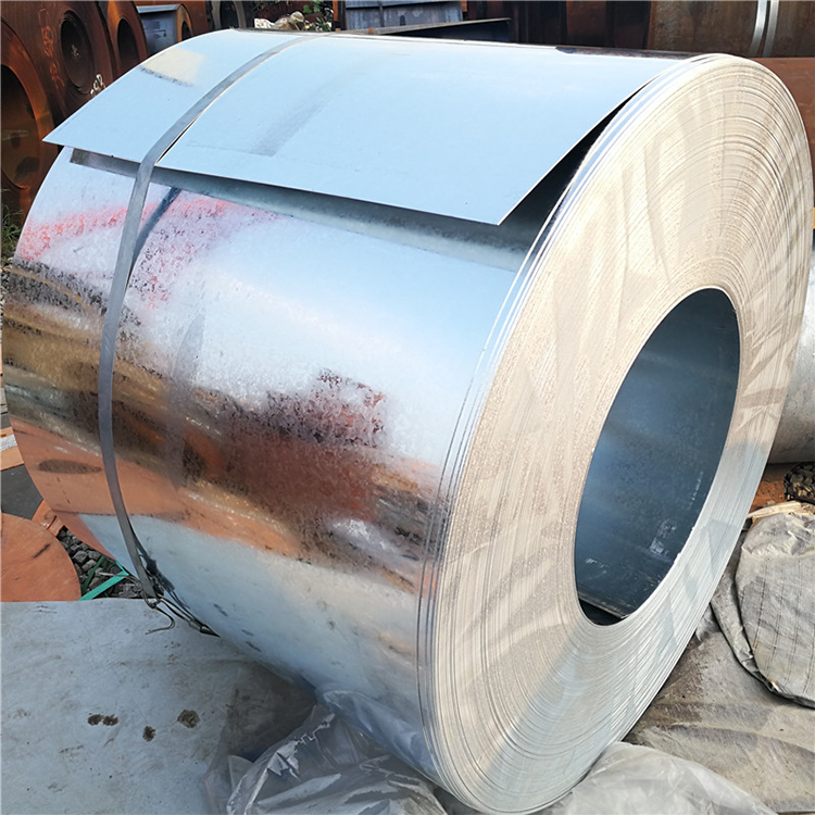 Prepainted Galvanized Steel Coil / 4