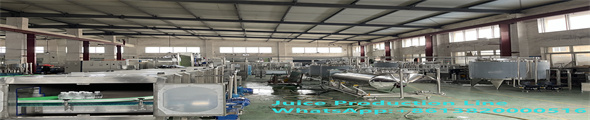 juice production line