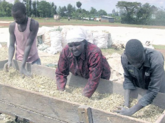 Kenya turns to subsidizing production to promote economy