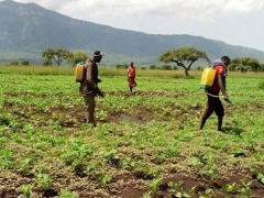 Agricultural Financing in Uganda: A Transformational A