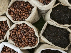 Amid global coffee shortage, Uganda's coffee expo