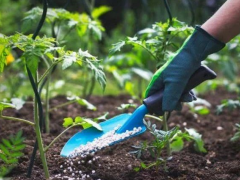 Fertilizer subsidies in Tanzania hailed as agricultura