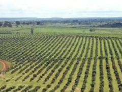 Uganda government mobilizes farmers and suppliers to p