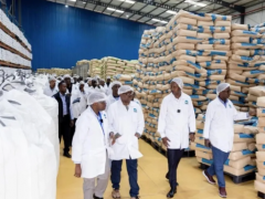 Consumer milk powder made in Rwanda will be launched in September